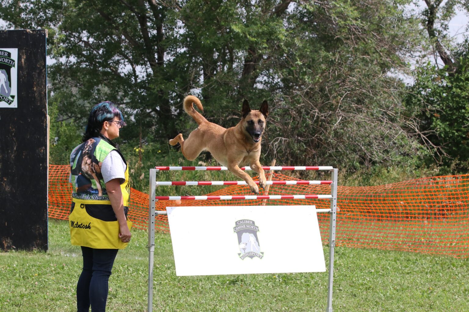 The Ultimate Guide to French Ring Sport Soldat d'Elite Malinois Kennel